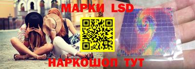 гидропоника Камышлов
