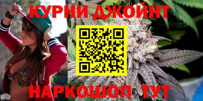 гидропоника Камышлов