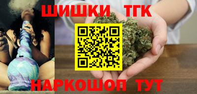 гидропоника Камышлов