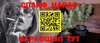 гидропоника Камышлов