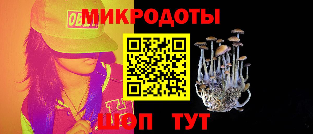 Луховицы  купить наркотик  Вход с VPN  Галлюциногенные грибы мицелий 
