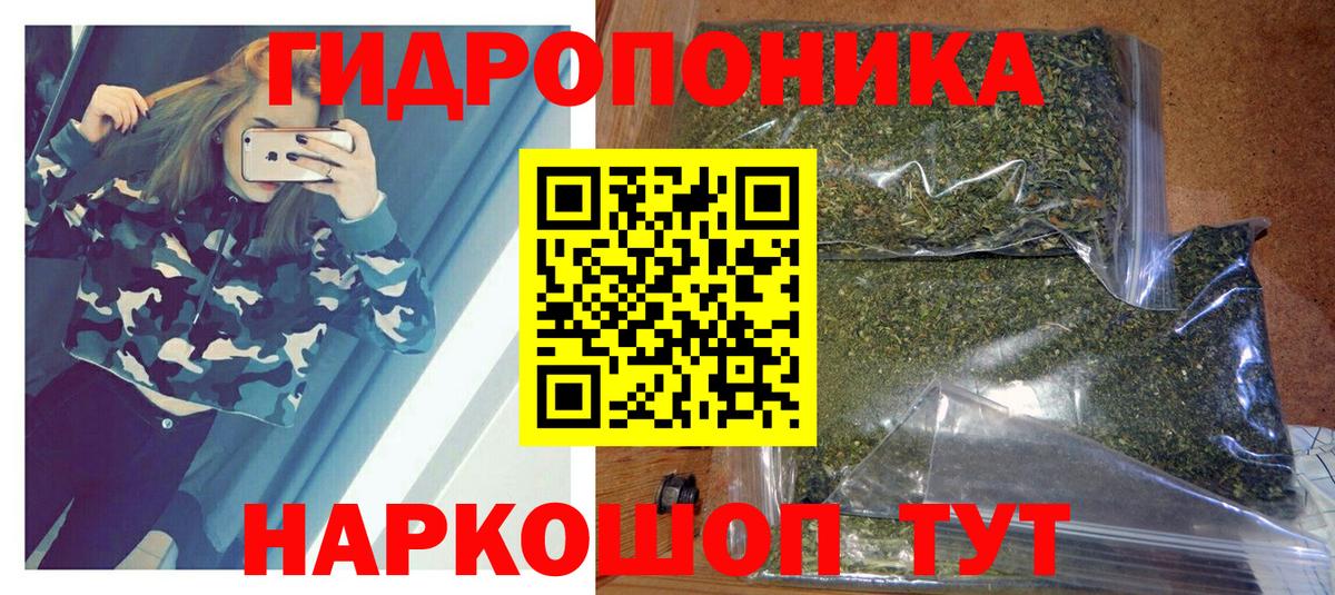 Канабис OG Kush Луховицы